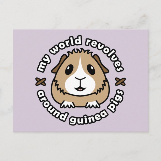 My World Revolves...Guinea Pigs Postcard (Front)