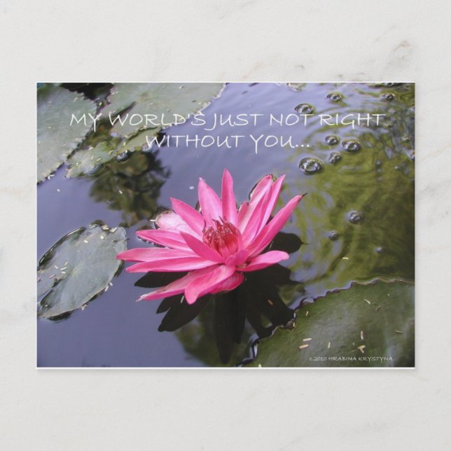 MY WORLDS NOT RIGHT WITHOUT YOU POSTCARD (Front)