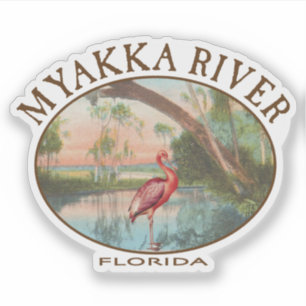 Myakka River Florida with Roseate Spoonbill