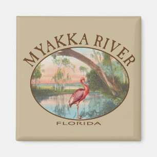 Myakka River Florida with Roseate Spoonbill Magnet