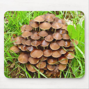 Mycena inclinata Mushroom Mouse Mat
