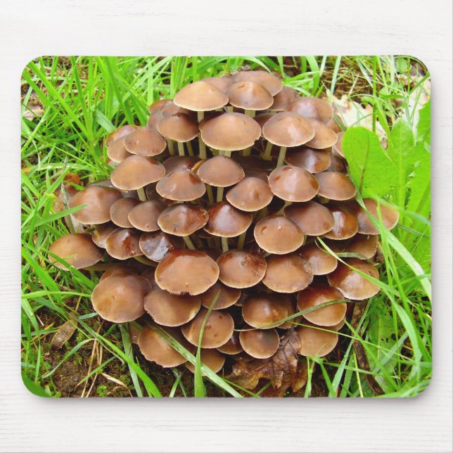 Mycena inclinata Mushroom Mouse Mat (Front)