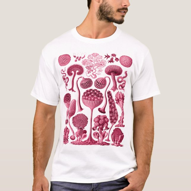 Mycetozoa - Kunstformen der Natur (1904) by Ernst T-Shirt (Front)