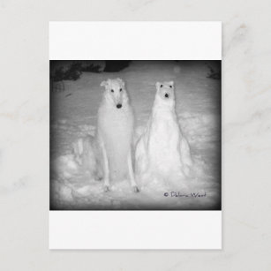 Mychtar and His Snowdog ! :) Holiday Postcard