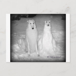 Mychtar and His Snowdog ! :) Postcard