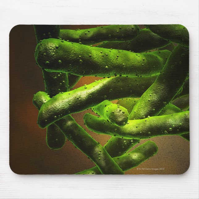 Mycobacterium Tuberculosis Mouse Mat (Front)