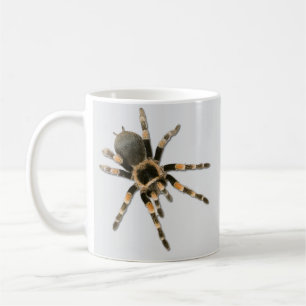 Mygal spider (Brachypelma smithi). Coffee Mug