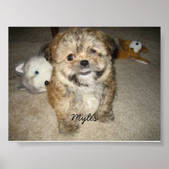 Myles Poster (Front)