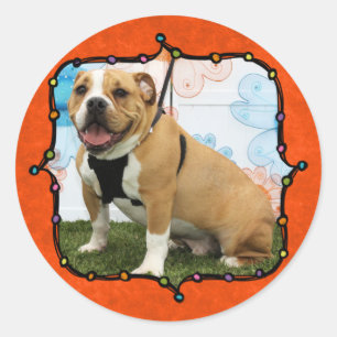 Mylo - English Bulldog Classic Round Sticker