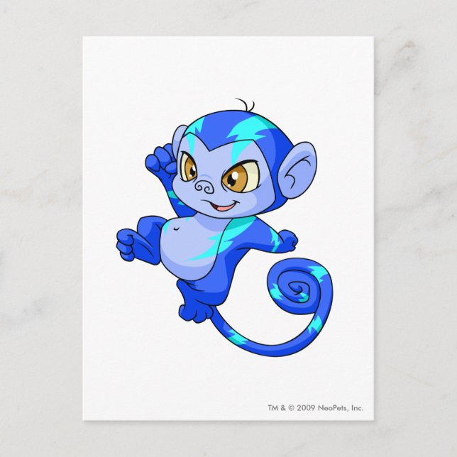 Mynci Electric Postcard (Front)