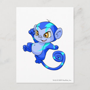 Mynci Electric Postcard