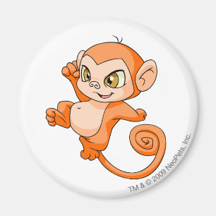 Mynci Orange Magnet