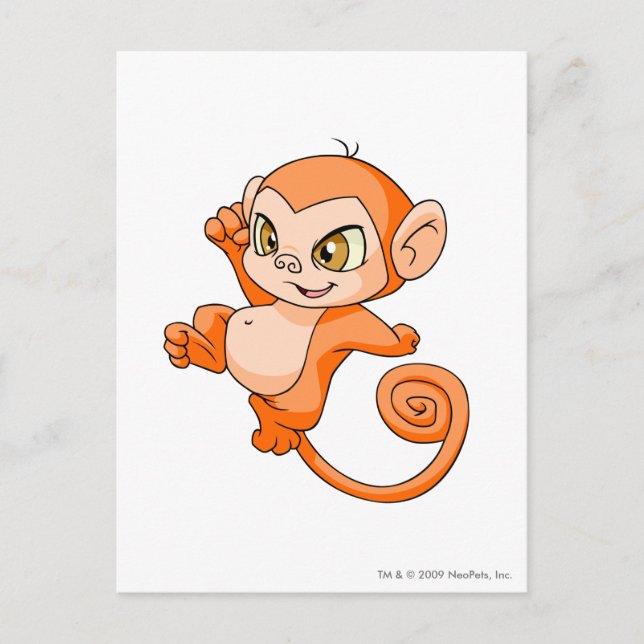 Mynci Orange Postcard (Front)