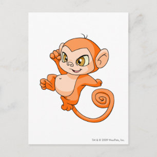 Mynci Orange Postcard