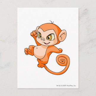 Mynci Orange Postcard