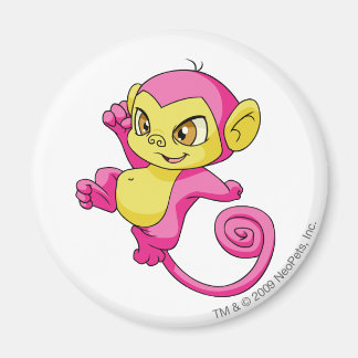 Mynci Pink Magnet