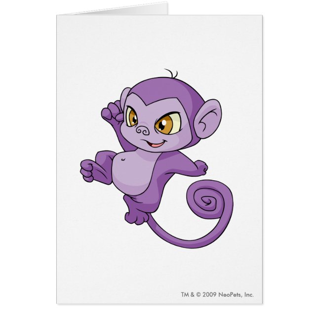 Mynci Purple (Front)
