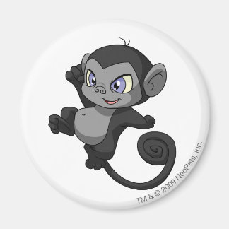 Mynci Shadow Magnet