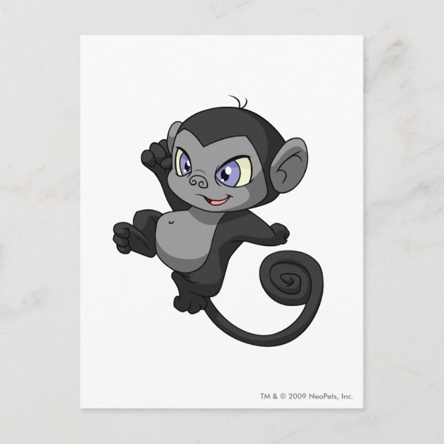 Mynci Shadow Postcard (Front)