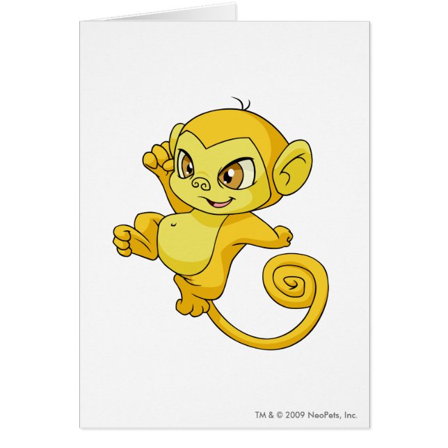 Mynci Yellow (Front)