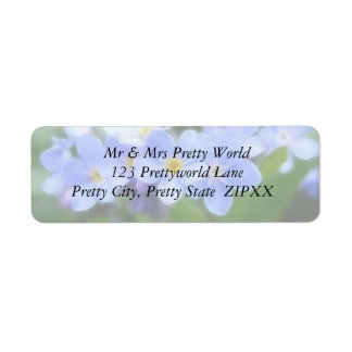 Myosotis sylvatica - Forget Me Nots
