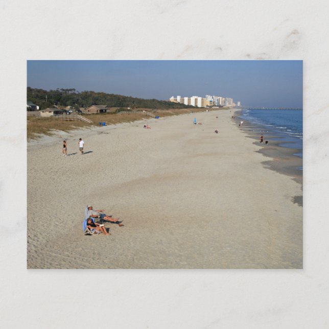 Myrtle Beach State Park, South Carolina Postcard (Front)
