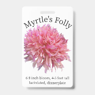 Myrtle's Folly Dahlia ID Badge