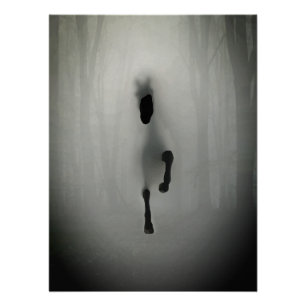 Mysterious Black Horse Running in Misty Fog Forest Poster