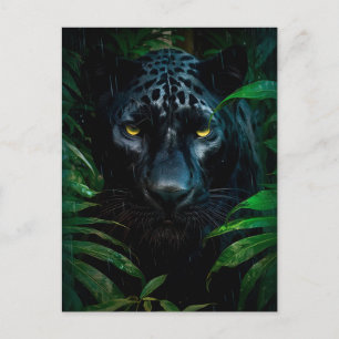 Mysterious Black Panther Jungle Wildlife Design Postcard