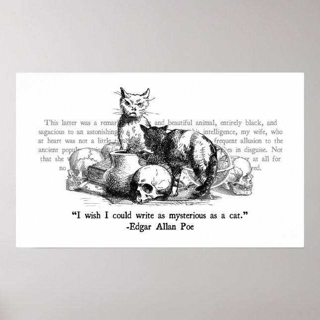 Mysterious Cats Poster (Front)