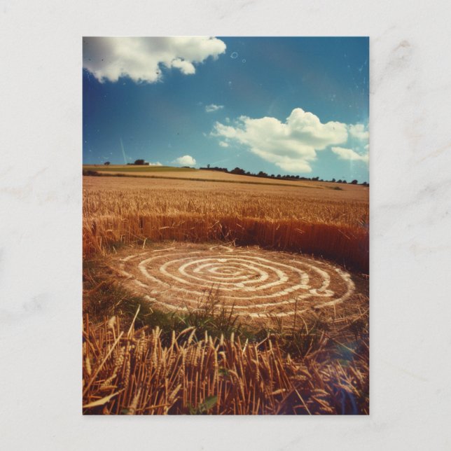 Mysterious Crop Circle in Golden Wheat Field Postcard (Front)