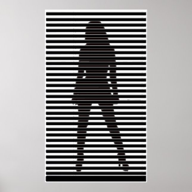 Mysterious Female Sihouette Poster (Front)