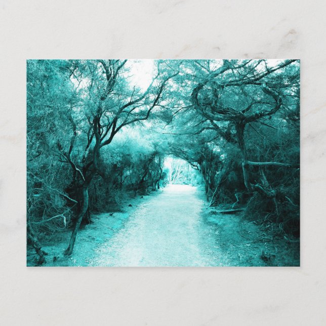 Mysterious Footpath, Moonlight path, Trees Postcard (Front)