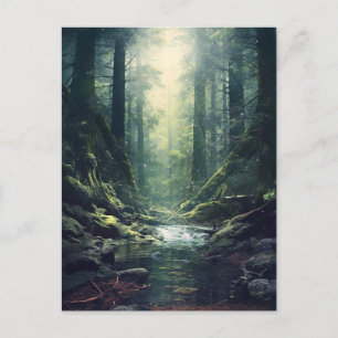Mysterious Forest Postcard
