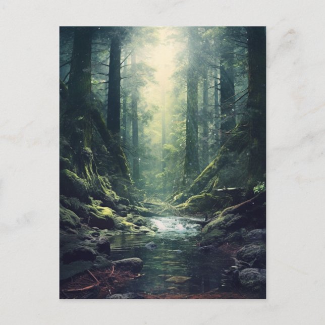 Mysterious Forest Postcard (Front)