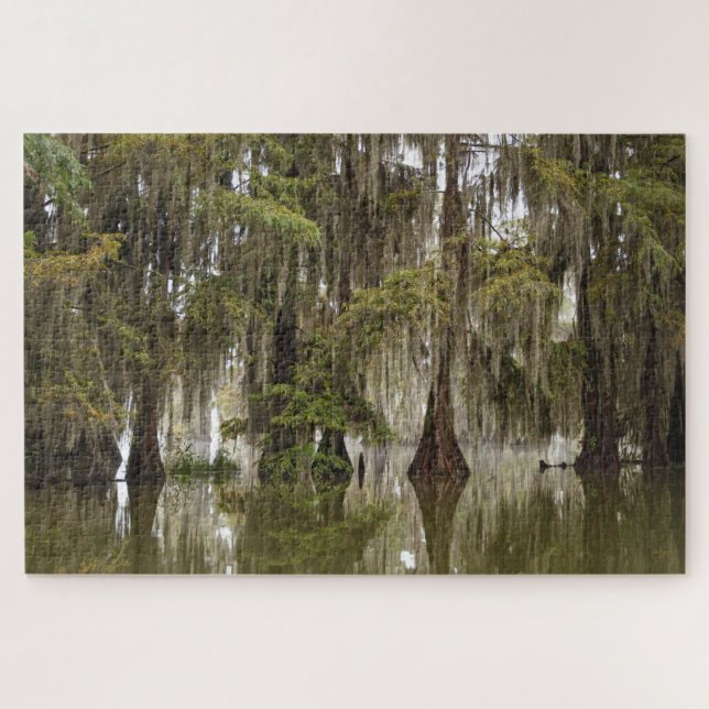 Mysterious Magical Acadian Cypress Swamp Puzzle (Horizontal)