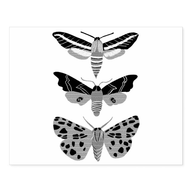 Mysterious Magical Moths Trio Hand Drawn Rubber Stamp (Imprint)