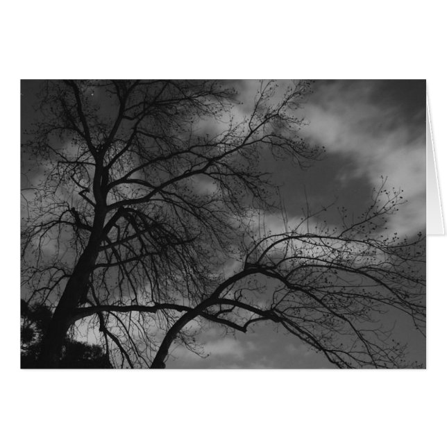 Mysterious Night (Front Horizontal)