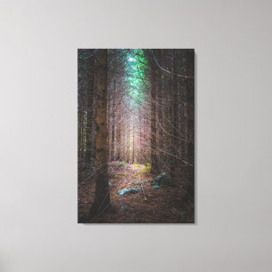Mysterious spruce forest canvas print