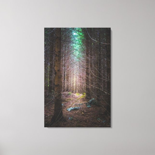 Mysterious spruce forest canvas print (Front)
