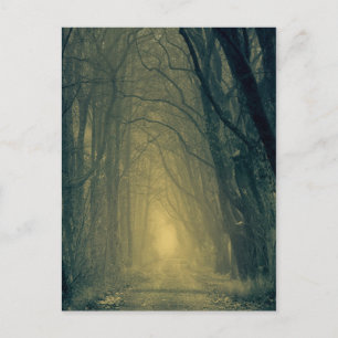 Mysterious yellow light in forest postcard
