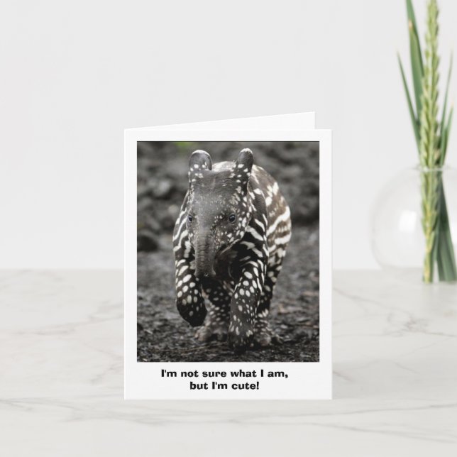 Mystery Critter Card (Front)