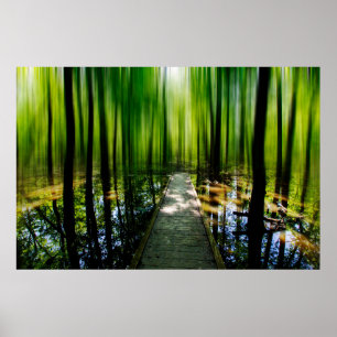 Mystery Path Poster
