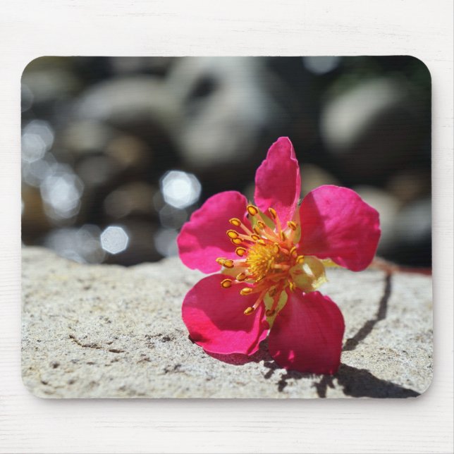 Mystery Pink Flower Mouse Mat (Front)