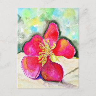 Mystery Pink Flower Watercolor Postcard