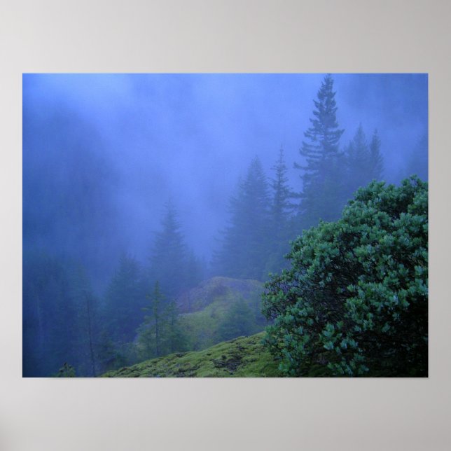 Mystery Trees Poster (Front)