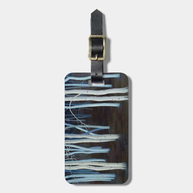 Mystic 2004 luggage tag (Front Vertical)