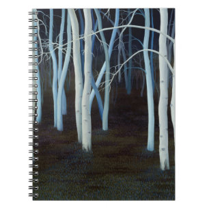 Mystic 2004 notebook