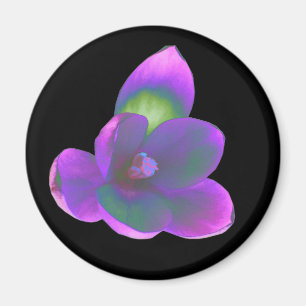 Mystic Beauty Crocus Flower Magnet