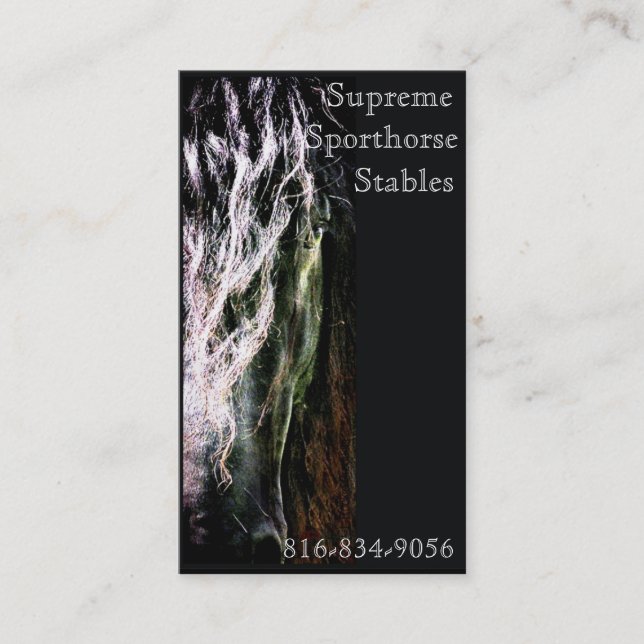 Mystic Friesian Business Card (Front)